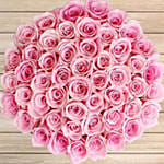 50 Pink Roses