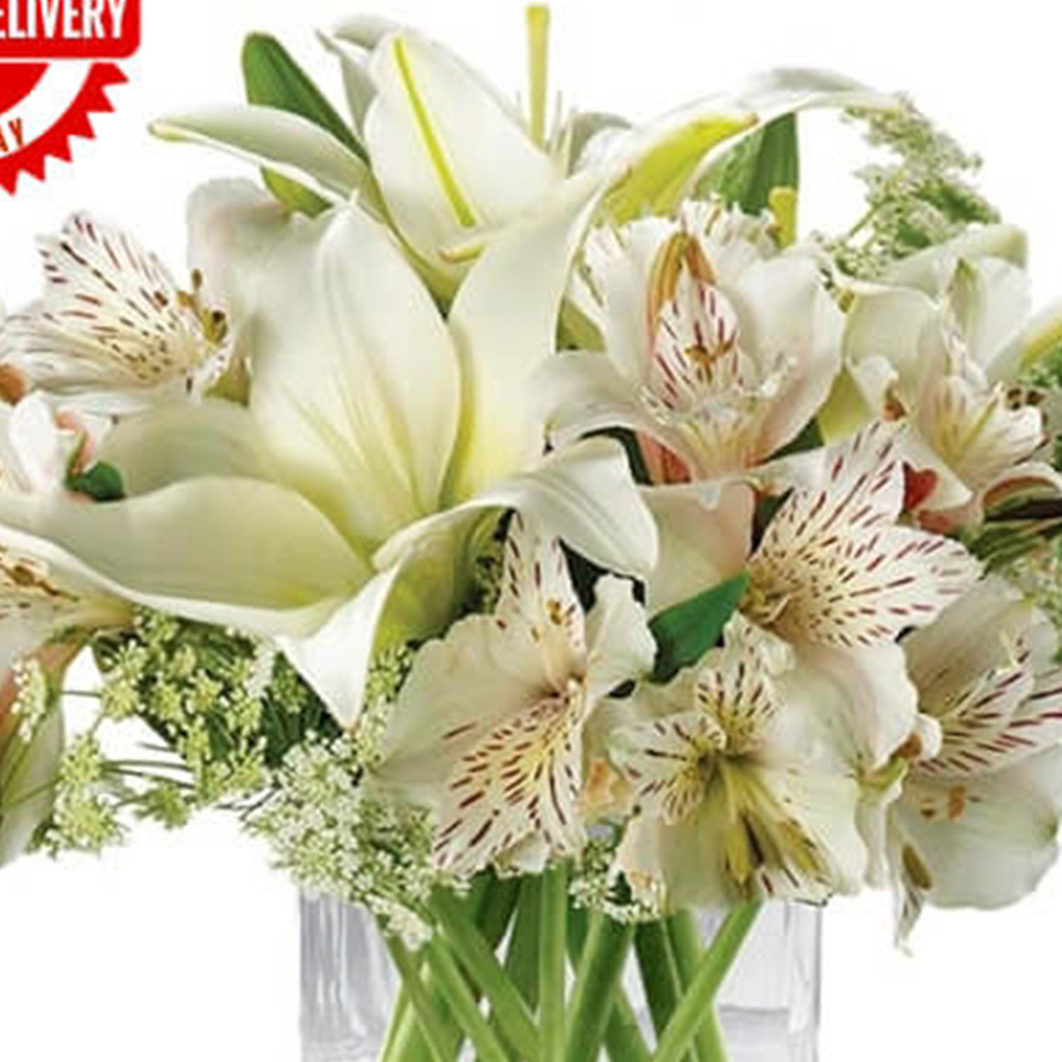 Thinking Of You Delivery in Singapore FNP SG