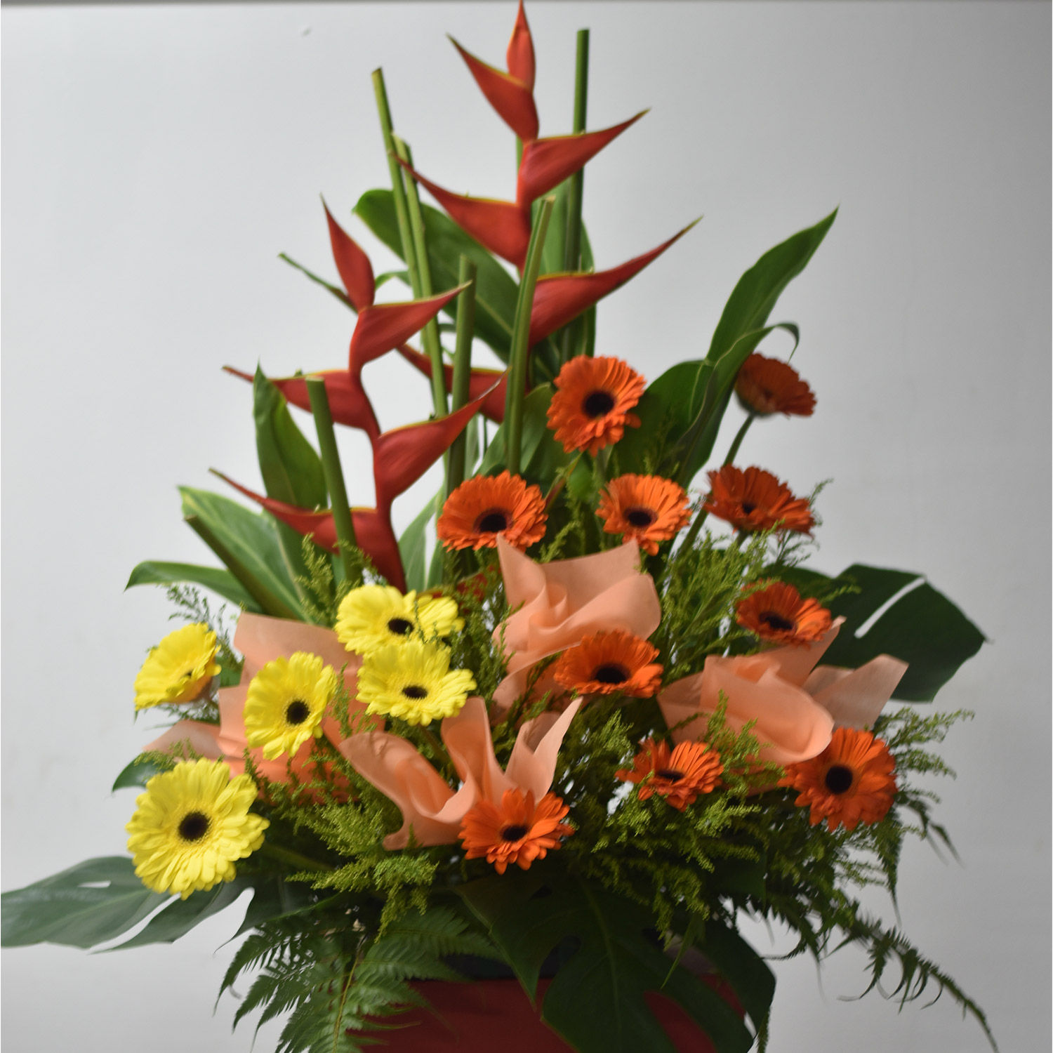 Birds Of Paradise Delivery in Singapore FNP SG