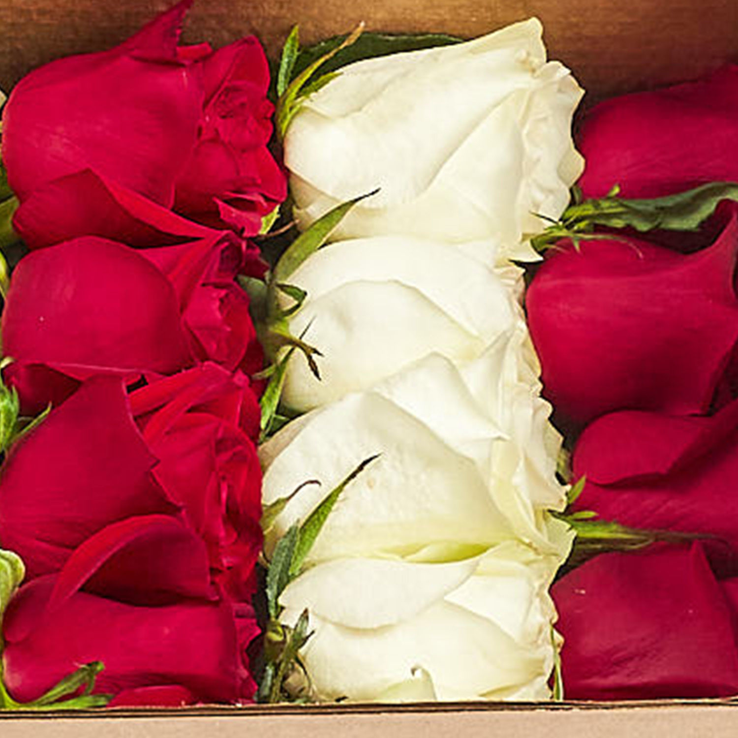 Eternal Love Mixed Roses Box Delivery in Singapore - FNP SG