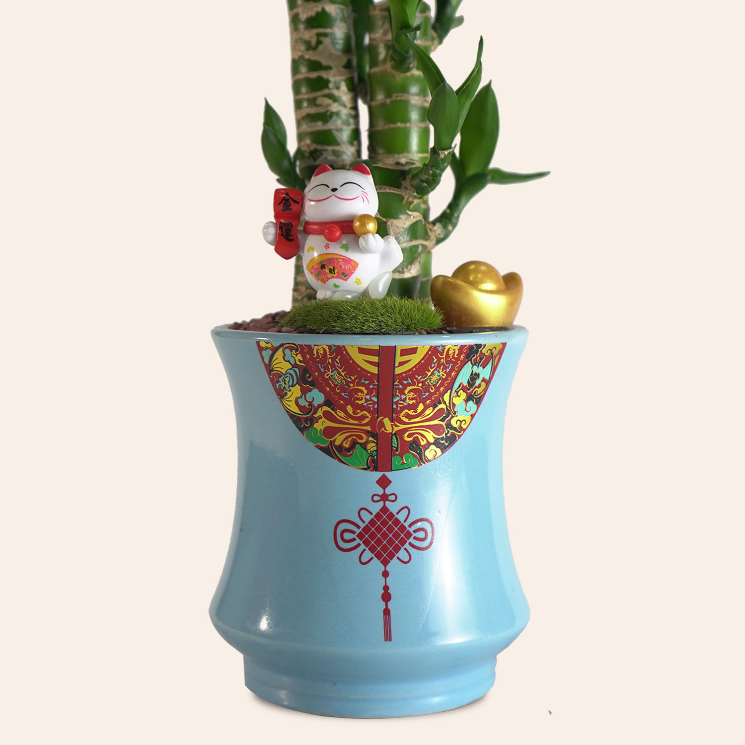 Lotus Lucky Bamboo Delivery in Singapore FNP SG