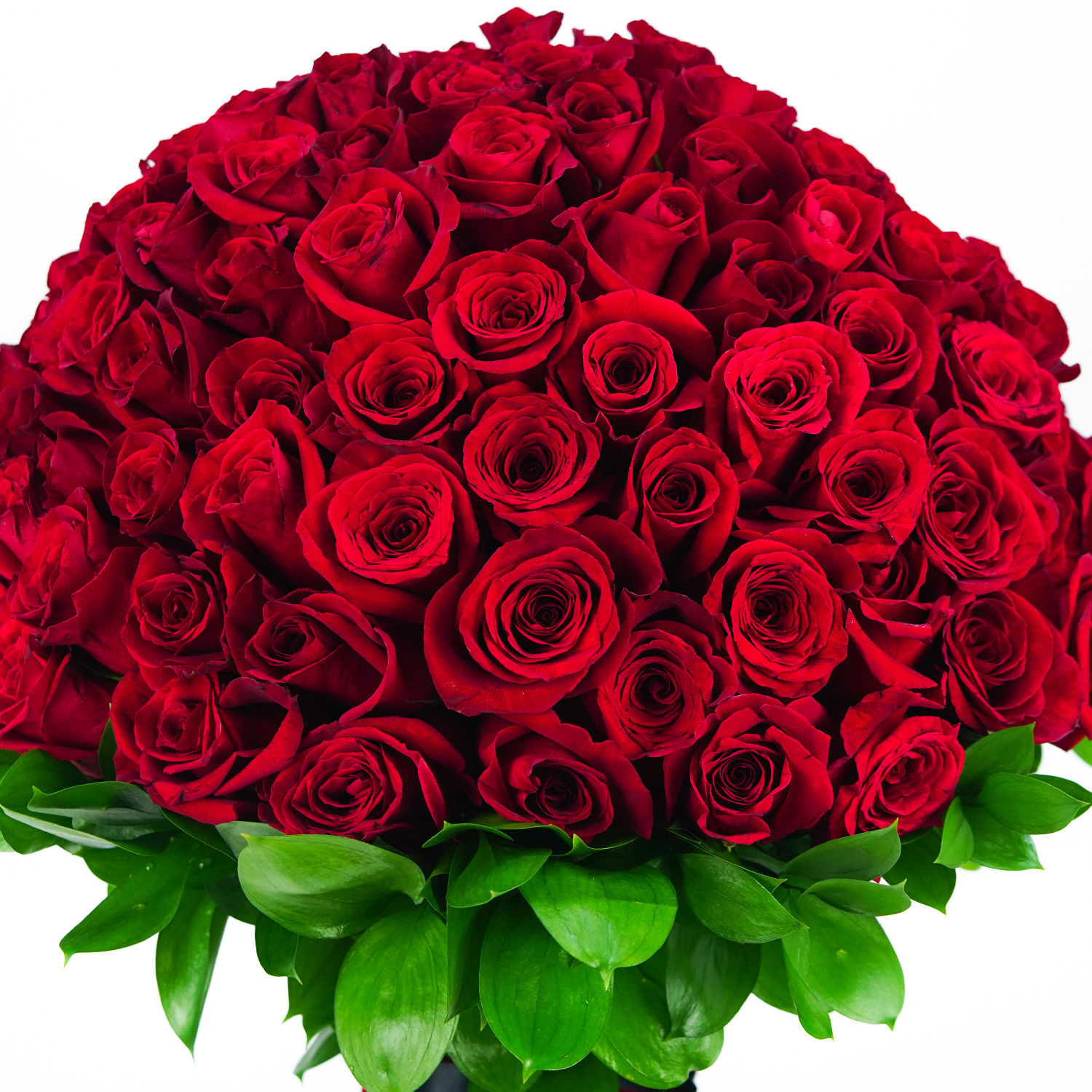 Fnp Roses Special Bouquet of 152 Roses Delivery in Singapore - FNP SG