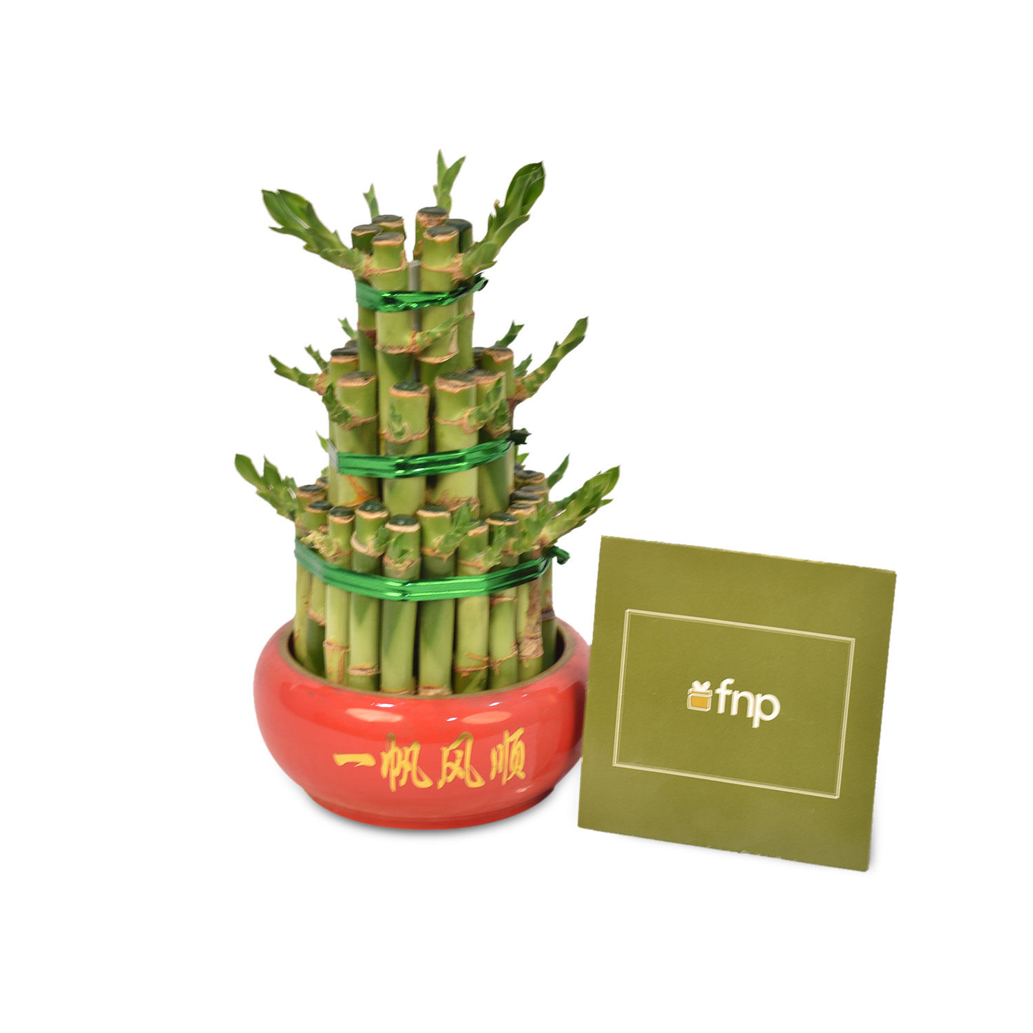 3 Layer Bamboo Plant Delivery in Singapore FNP SG