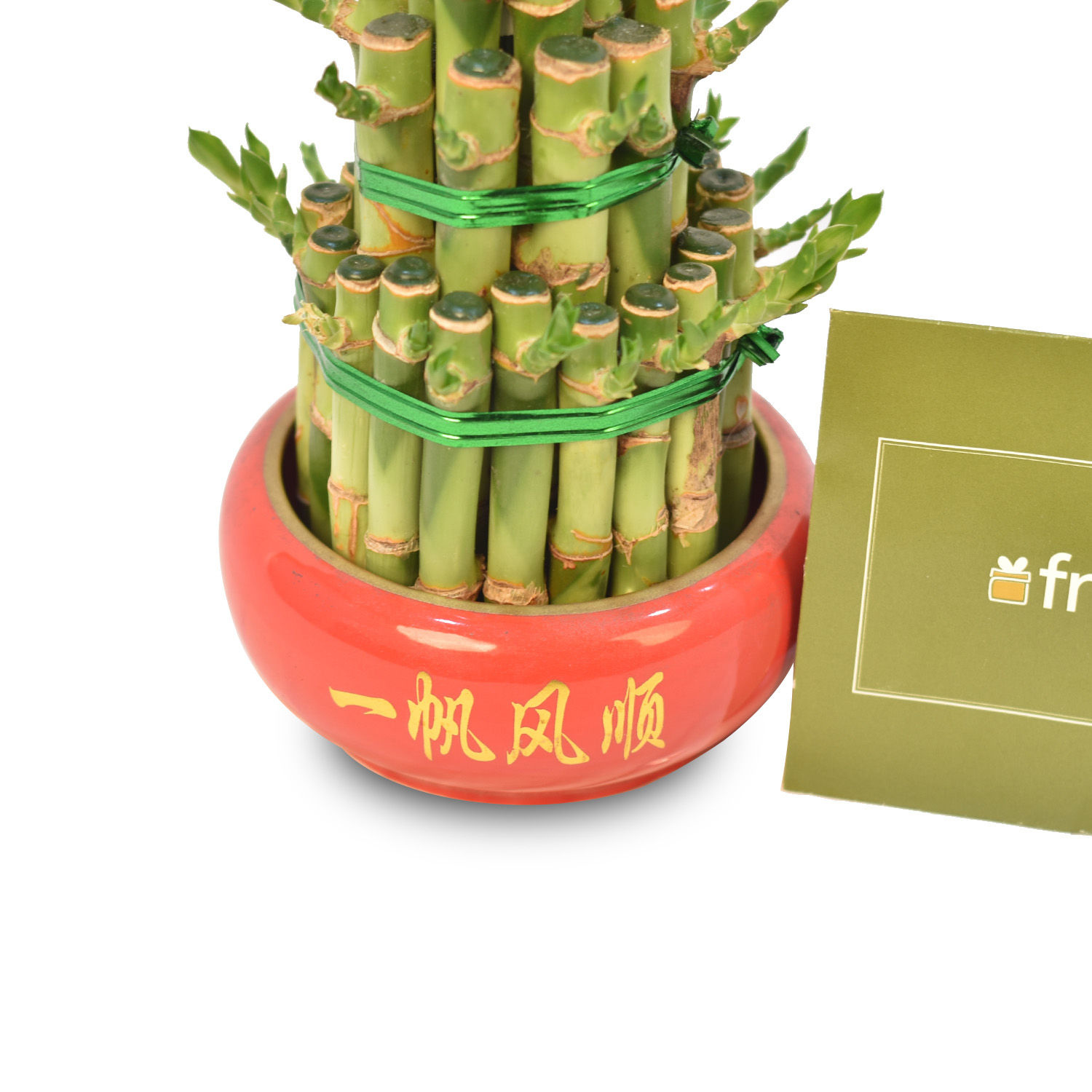 3 Layer Bamboo Plant Delivery in Singapore FNP SG