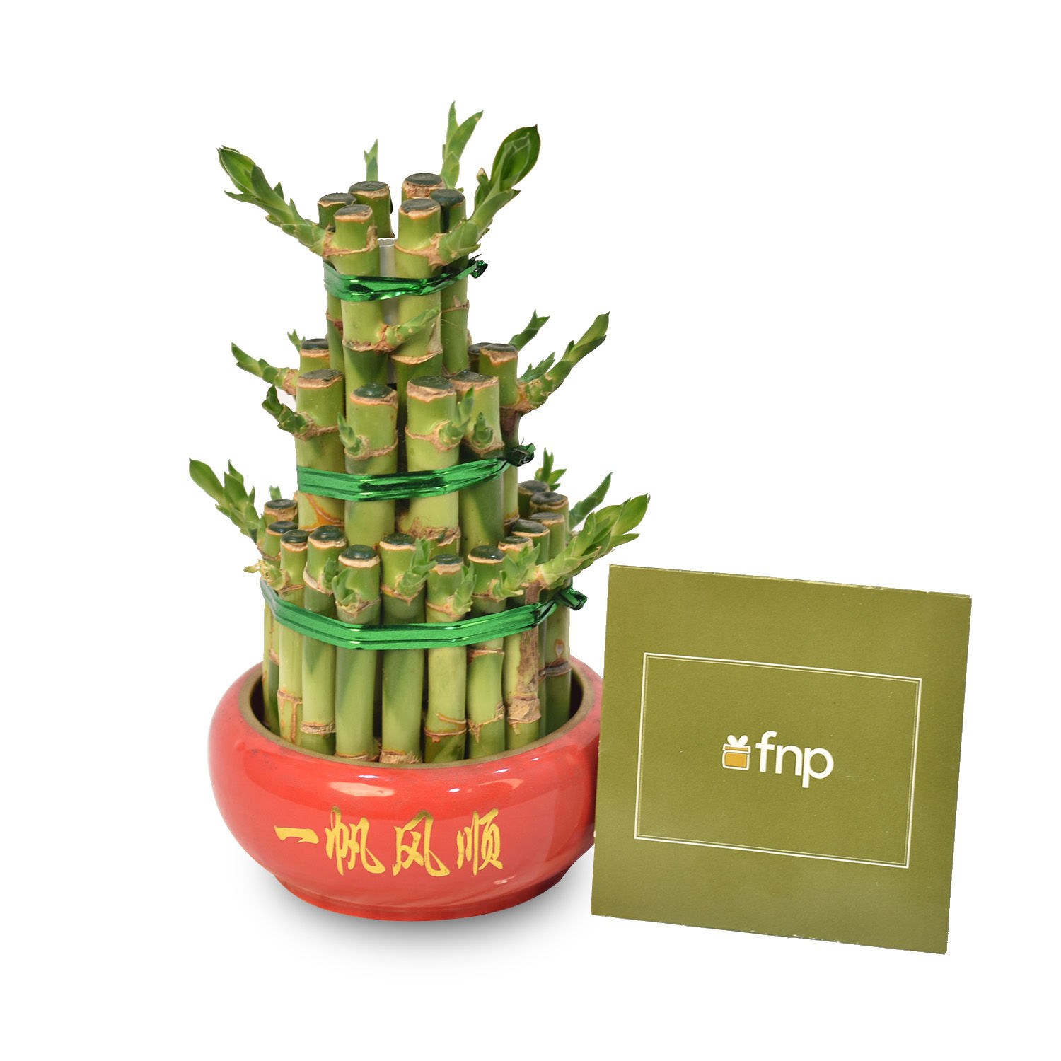 3 Layer Bamboo Plant Delivery in Singapore FNP SG