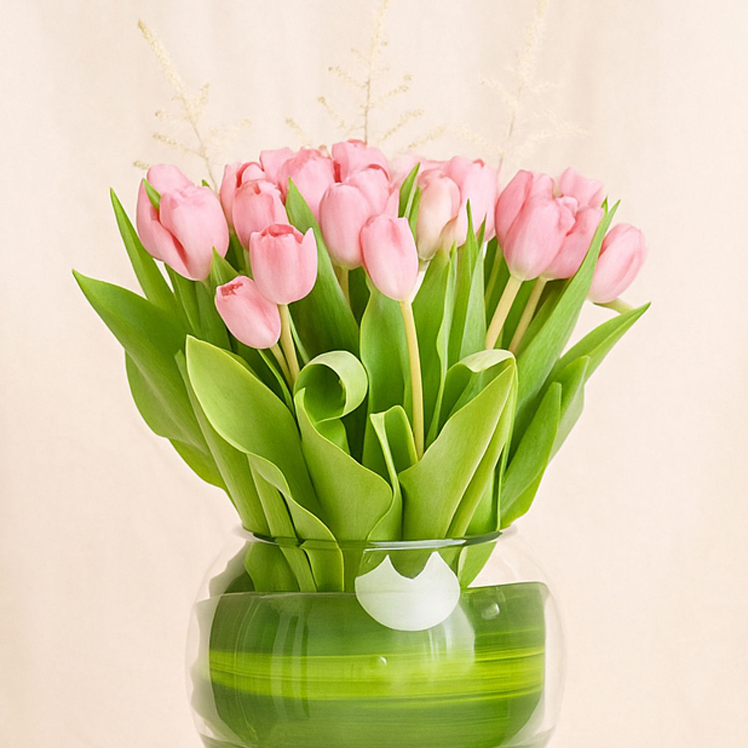 Beautiful Tulips Arrangement Delivery in Singapore FNP SG
