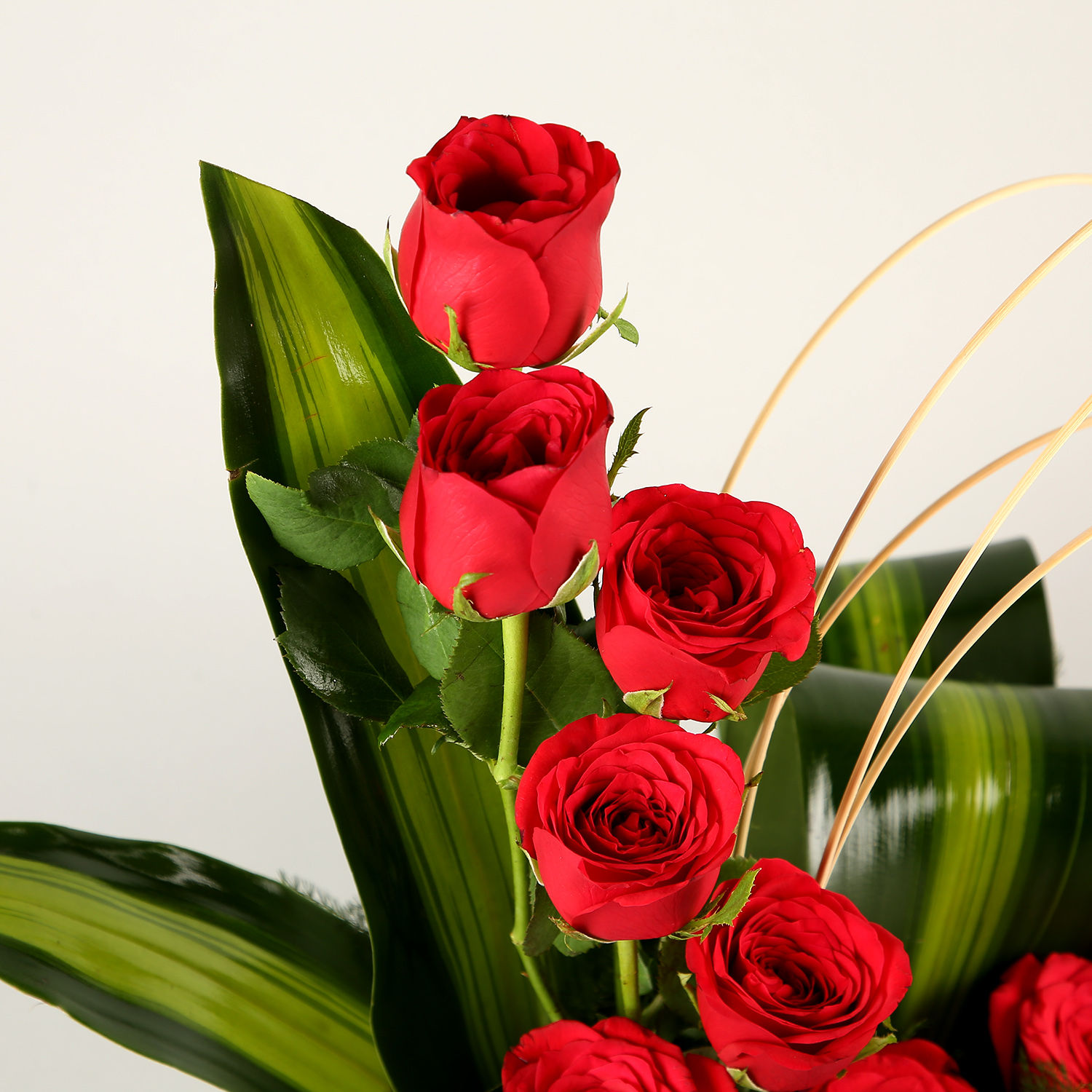 Sg Roses Design Designer Red Roses Arrangement Delivery in Singapore - FNP SG