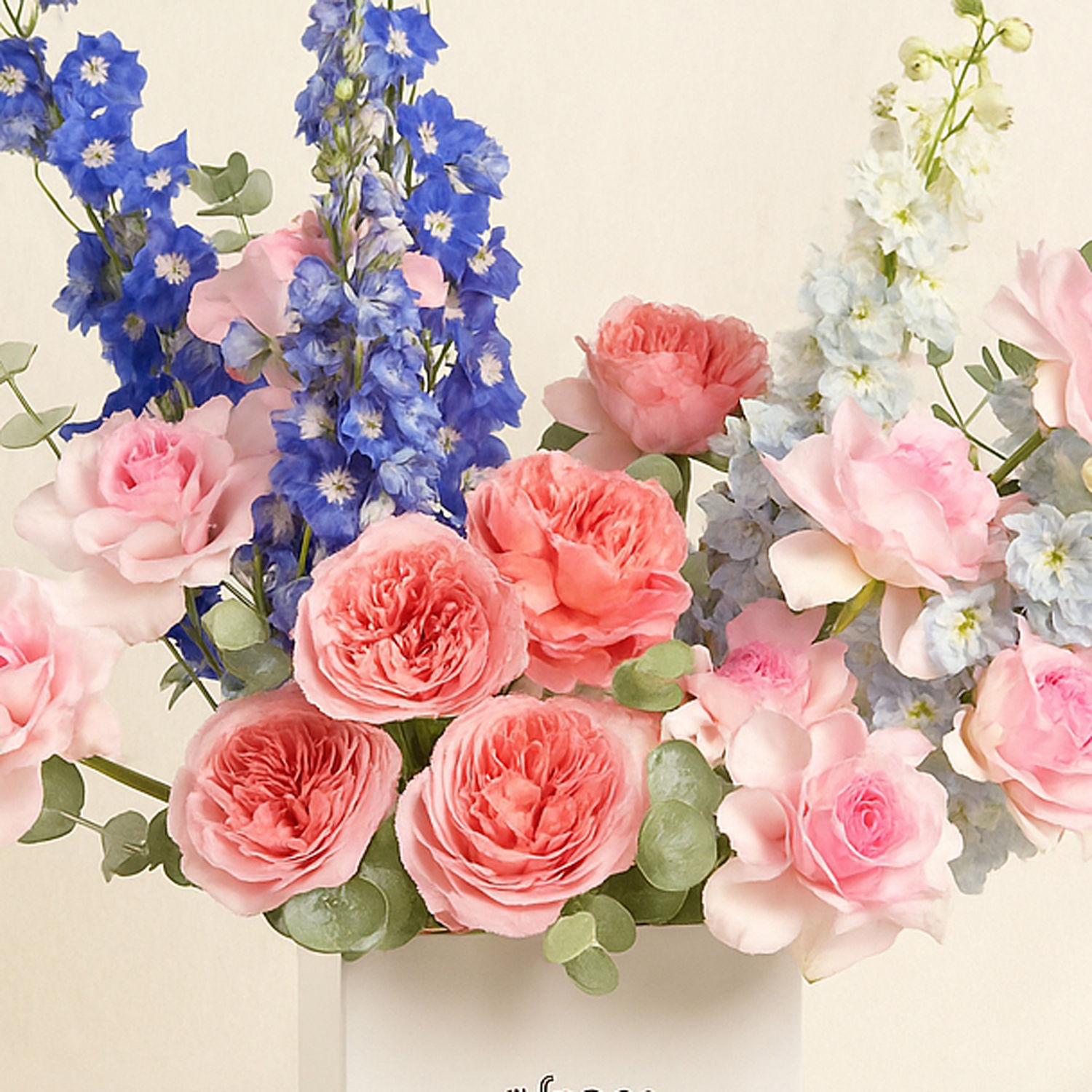 Garden Roses and Delphinium Arrangement Delivery in Singapore - FNP SG