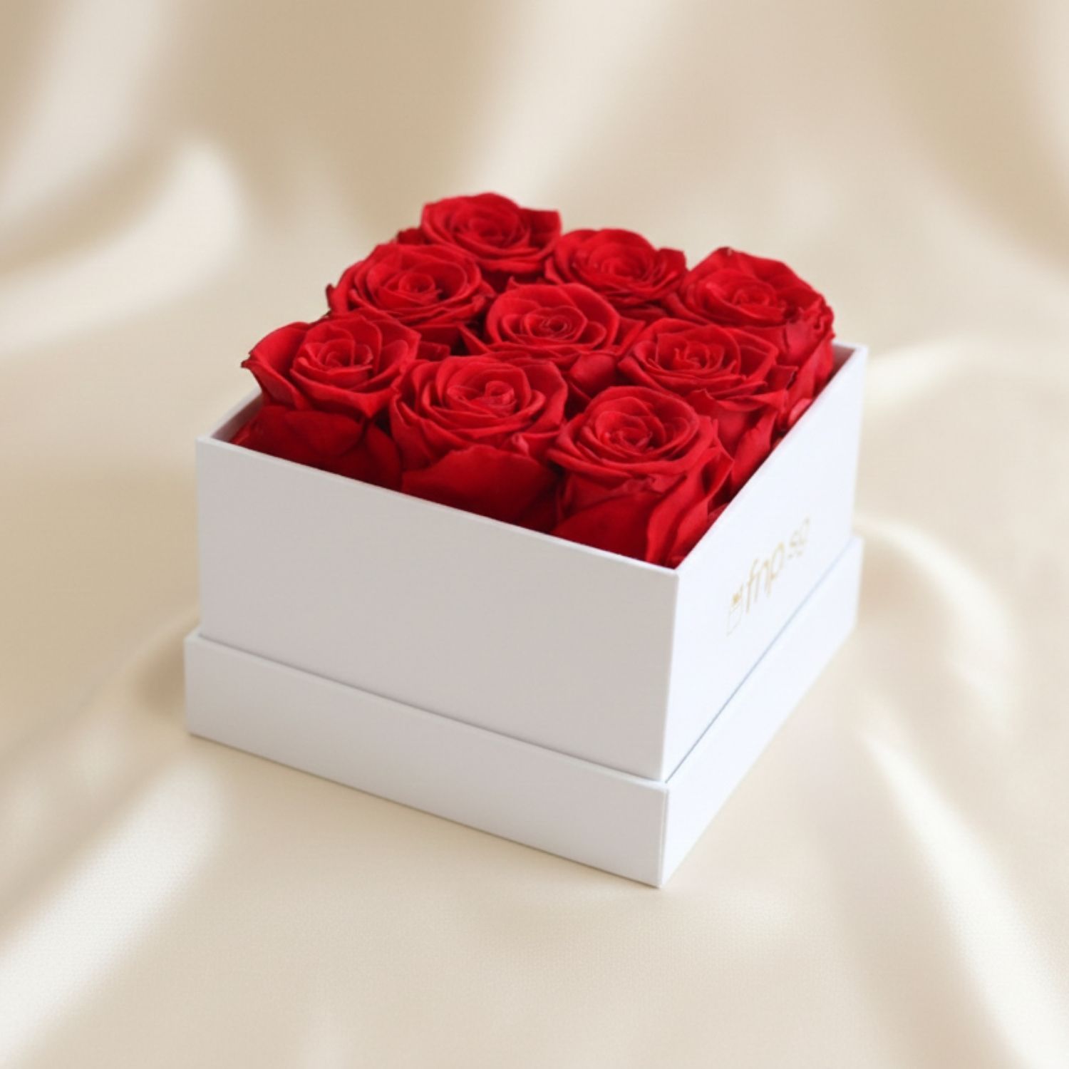 Box Rasees Preserved 9 Roses Box Delivery in Singapore - FNP SG
