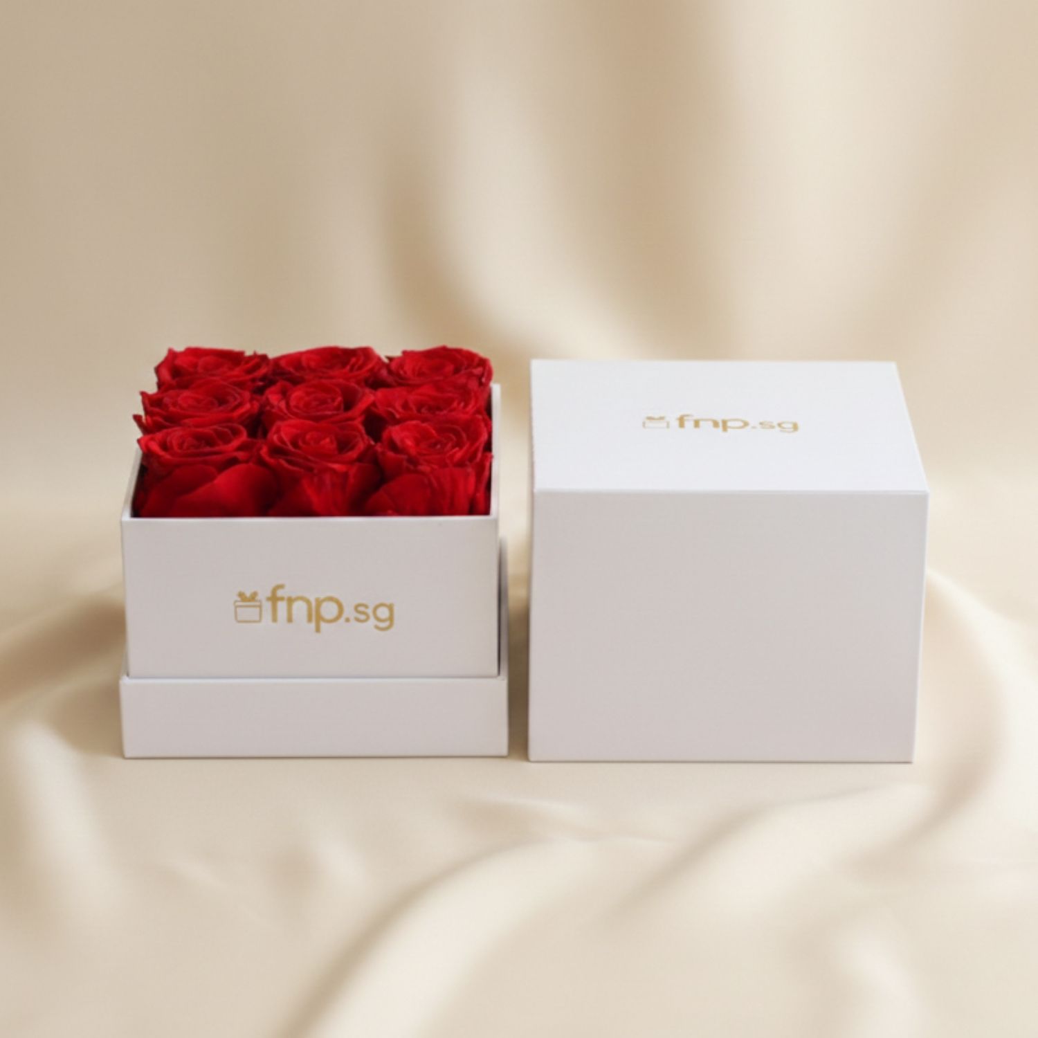 Fnp Roses Preserved 9 Roses Box Delivery in Singapore - FNP SG