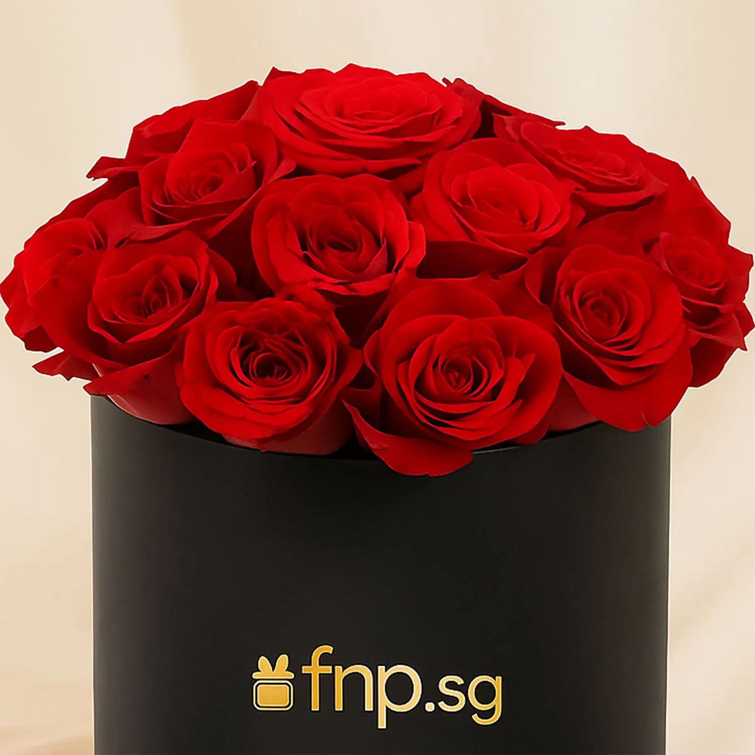 Red Roses Box Delivery Box of Red Roses for Vday Delivery in Singapore - FNP SG